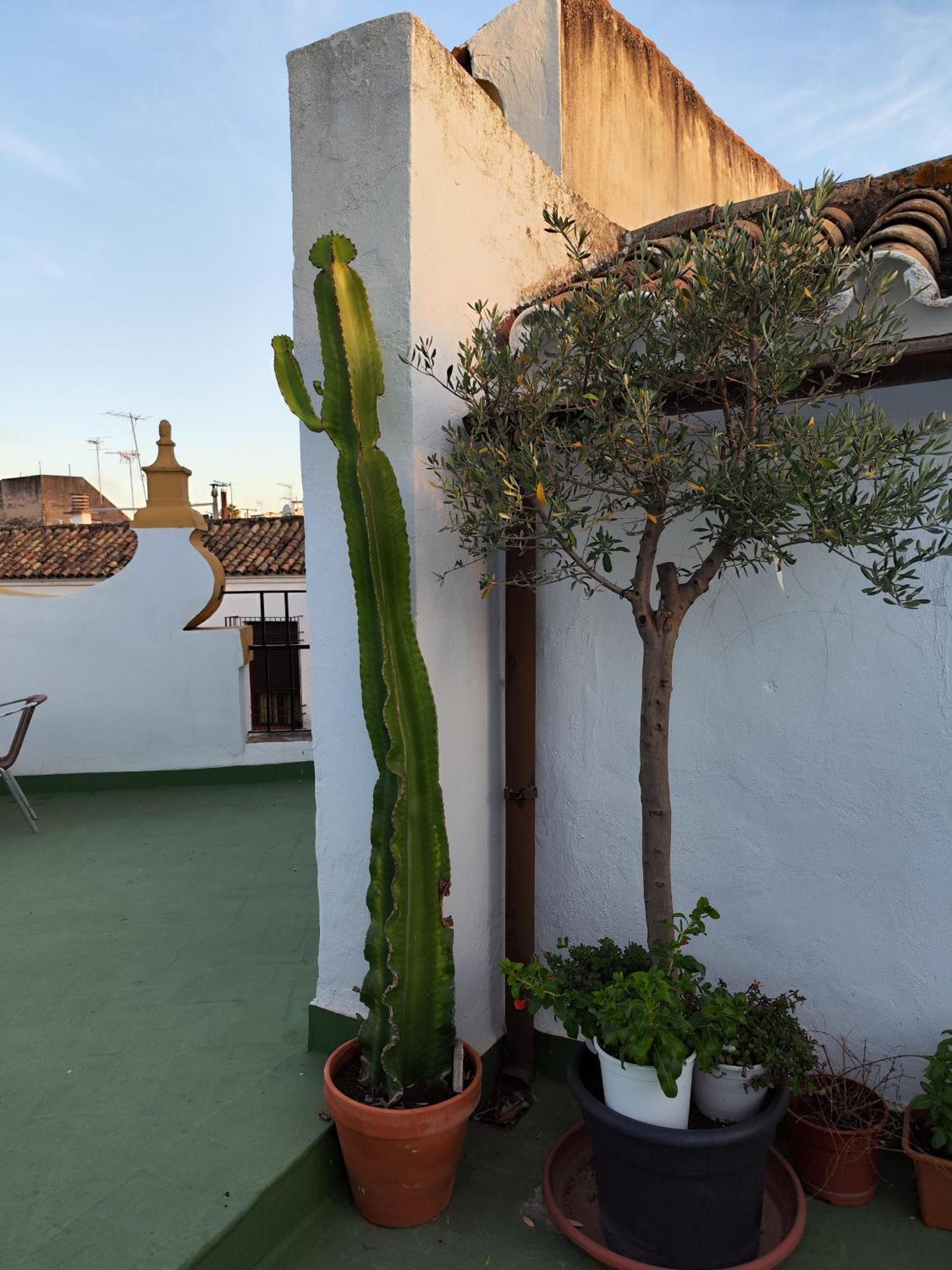 Casa Paliani Villa Córdoba Eksteriør billede