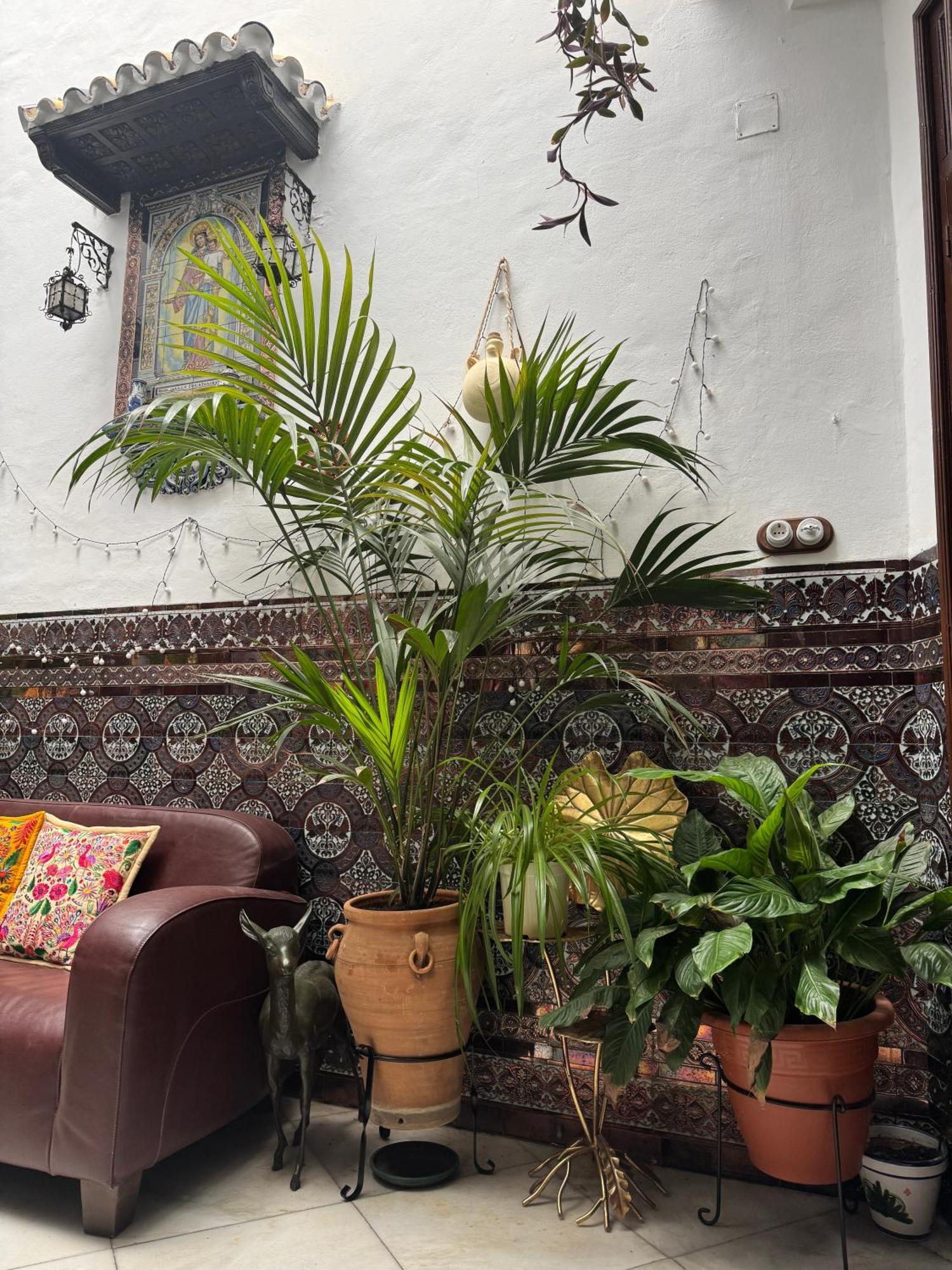 Casa Paliani Villa Córdoba Eksteriør billede